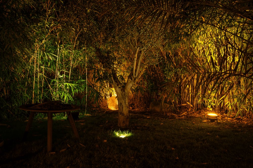 Garten bei Nacht mit beleuchteten Bäumen und Sträuchern