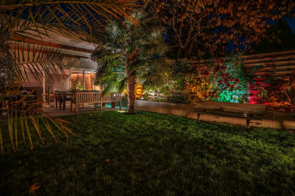 Nachts beleuchteter Garten mit Palmen und farbigen Sträuchern